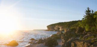 A legutóbbi jégkorszak óta fennmaradt tengeri moszatokat azonosítottak Skócia partjainál