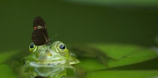 A Nornickel ellen 2 milliárd dolláros kártérítési keresetet nyújtottak be a májusi olajömlés miatt