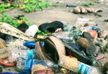 Nébih: Magyarországon több mint 300 ezer tonna élelmiszert pazarolnak el az emberek évente