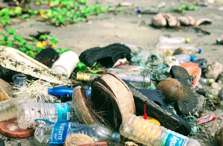 Nébih: Magyarországon több mint 300 ezer tonna élelmiszert pazarolnak el az emberek évente