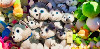 Gyapjas rinocérosz lehetett egy 14 ezer éve élt kölyökkutya utolsó vacsorája