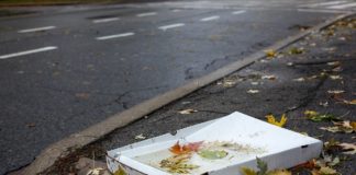 6000 köbméter az illegális útmenti hulladék