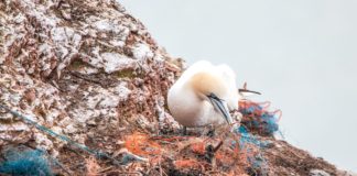 A vízfelszínt tisztító technológiák nem jelentenek megoldást az óceánokban úszó műanyag problémájára kutatók szerint