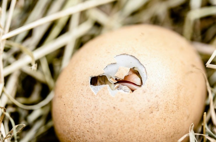 Magyar tudósok kutatják az élet eredetét